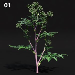 Realistic Proxy Model for SketchUp with V-Ray