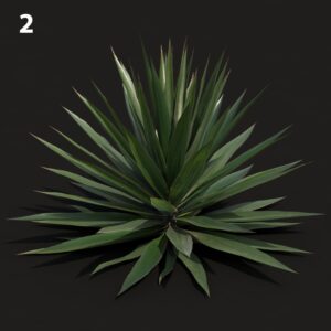 Agave Proxy Model for SketchUp