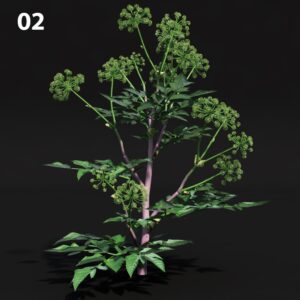 Proxy Model for SketchUp with V-Ray