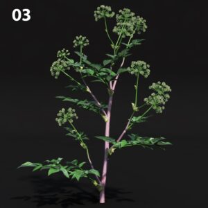 Realistic Green Plant Proxy Model for SketchUp and V-Ray