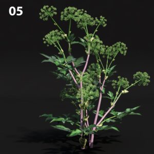 Realistic Green Plant Proxy Model for SketchUp with V-Ray