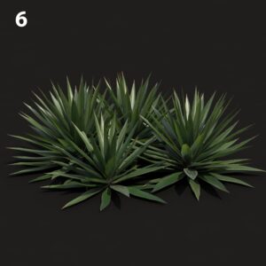 Agave Proxy Model for SketchUp with V-Ray