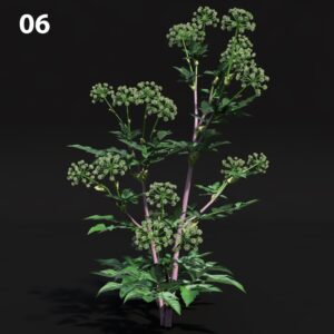 Realistic Greenery Proxy Model for SketchUp with V-Ray