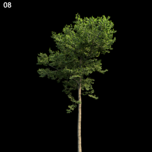 asset-3d-thumbnail