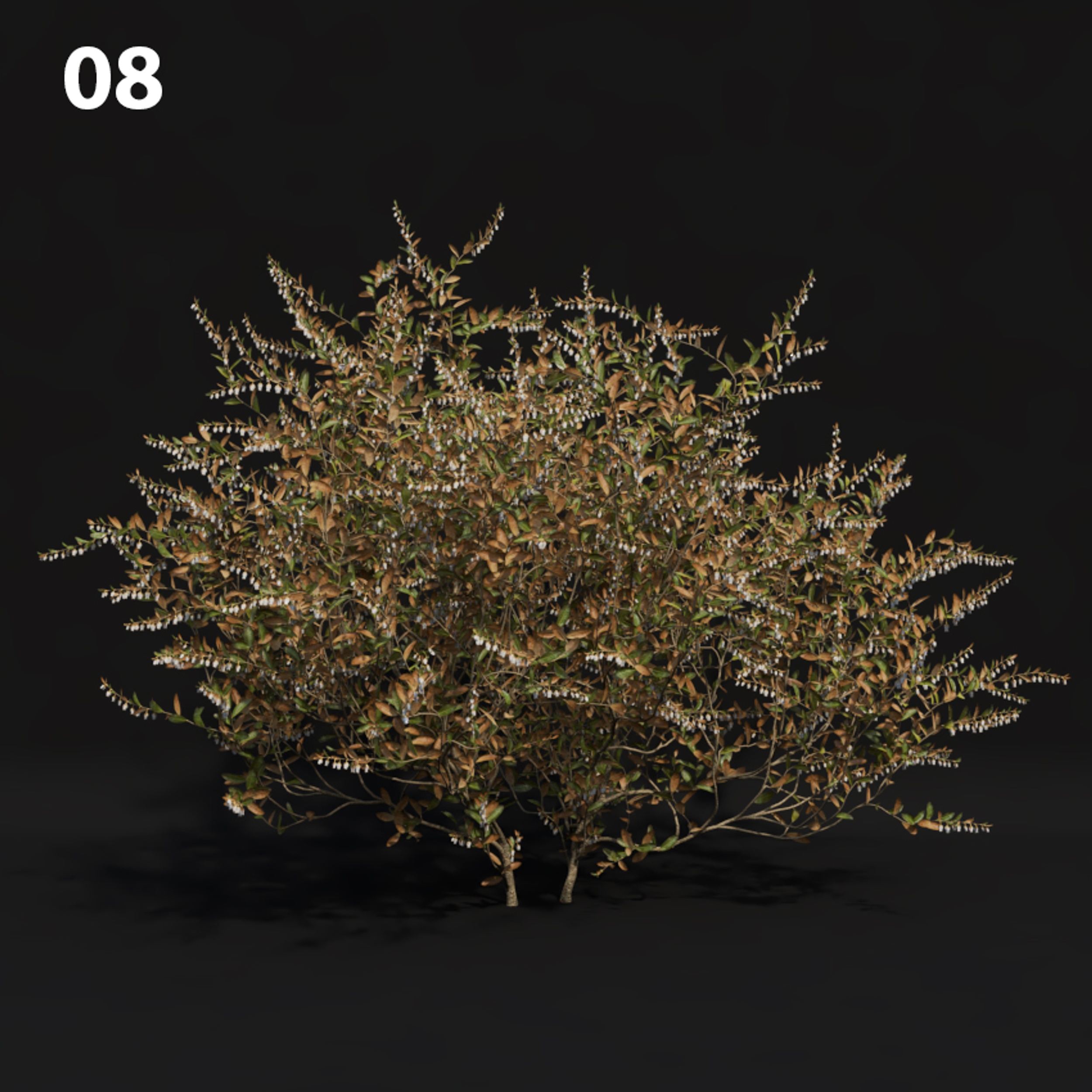 Realistic Proxy Model for SketchUp with V-Ray