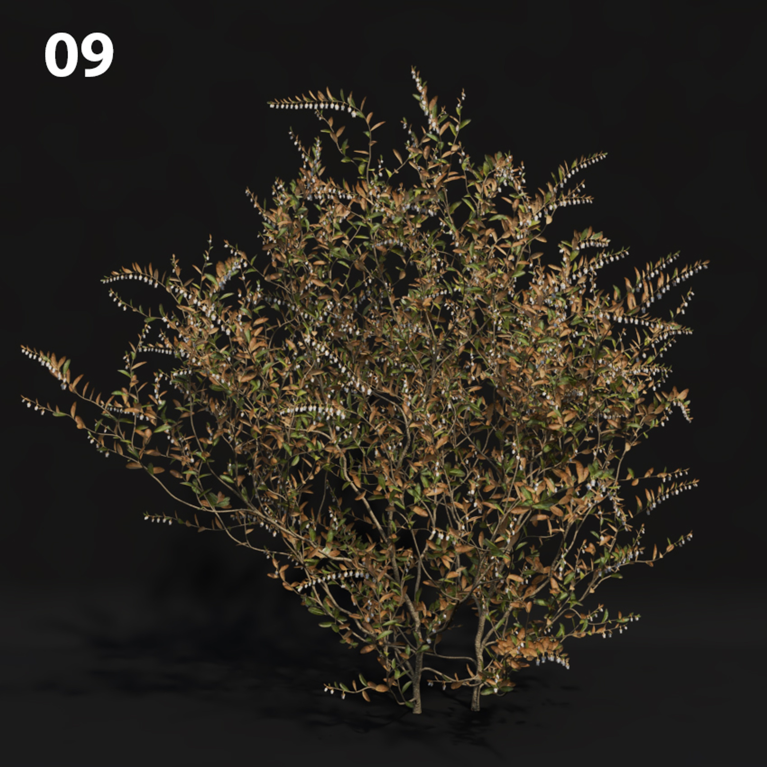 Realistic Proxy Model for SketchUp with V-Ray