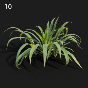 Iris Plant Proxy Model for SketchUp with V-Ray