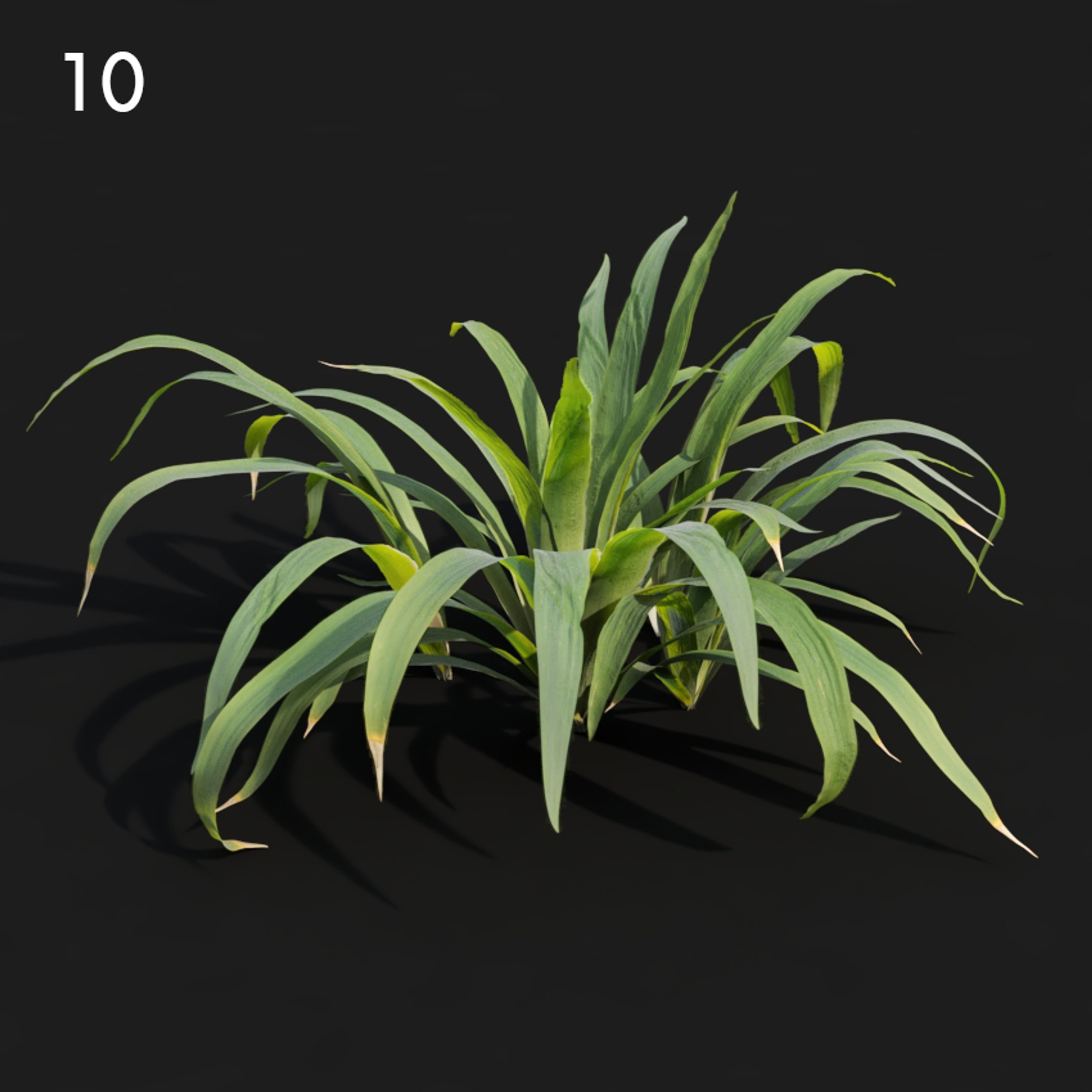 Iris Plant Proxy Model for SketchUp with V-Ray