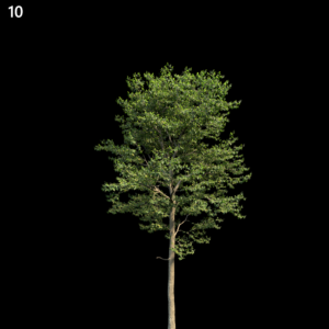 asset-3d-thumbnail