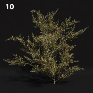 Realistic Proxy Model for SketchUp with V-Ray