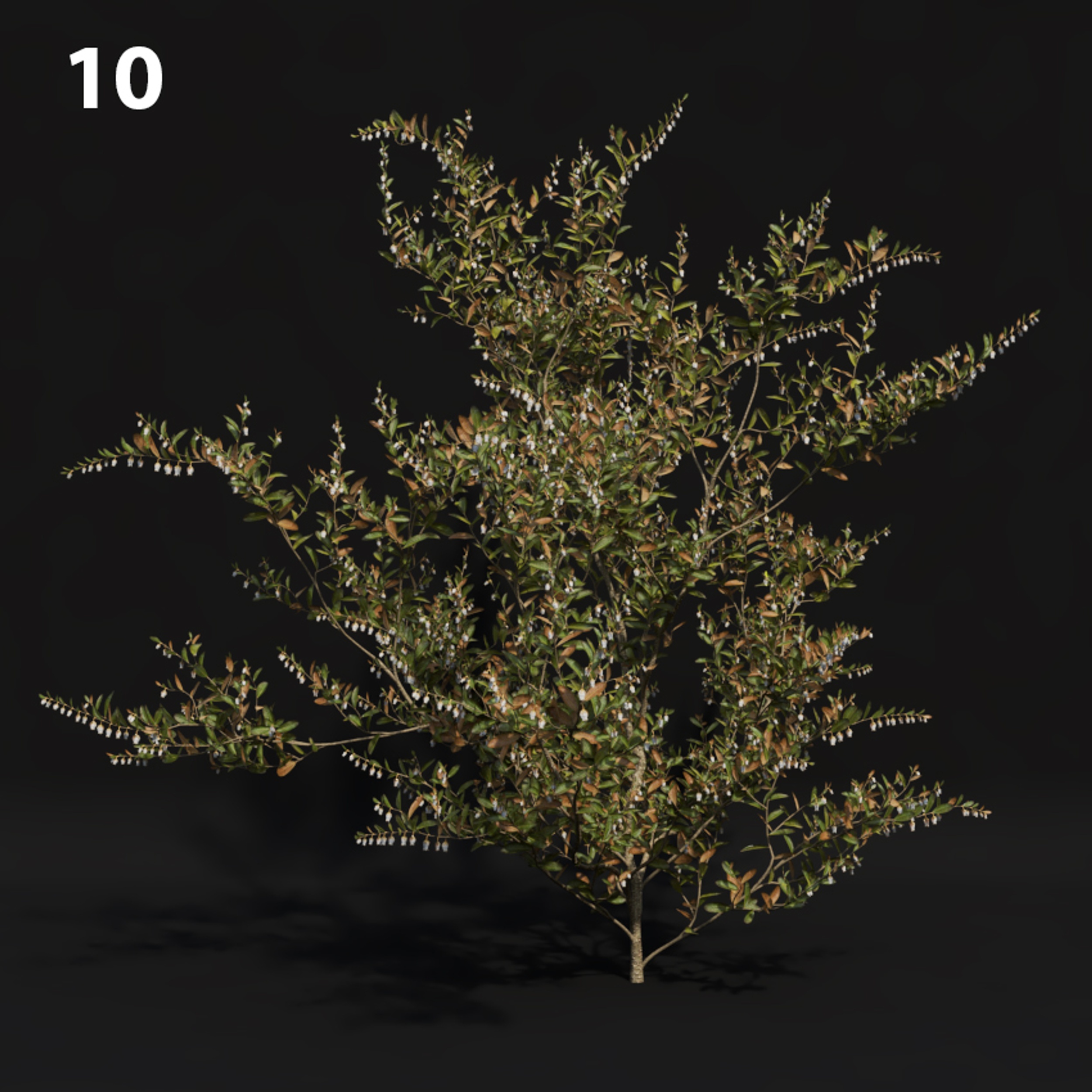 Realistic Proxy Model for SketchUp with V-Ray