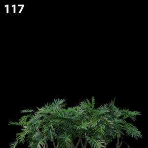 Philodendron Xanadu Proxy Model for SketchUp with V-Ray