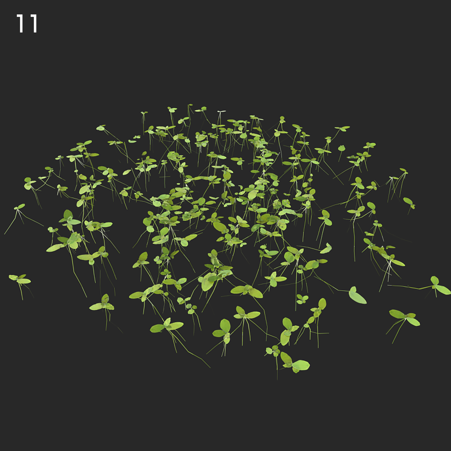 Lemna Minor Proxy Model for SketchUp with V-Ray