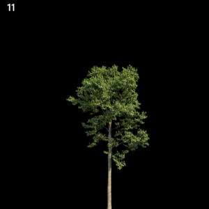 asset-3d-thumbnail