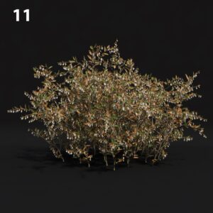 Realistic Floral Proxy Model for SketchUp with V-Ray