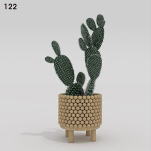 Opuntia Microdasys Cactus Model