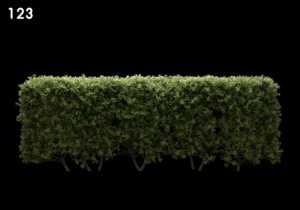 asset-3d-thumbnail