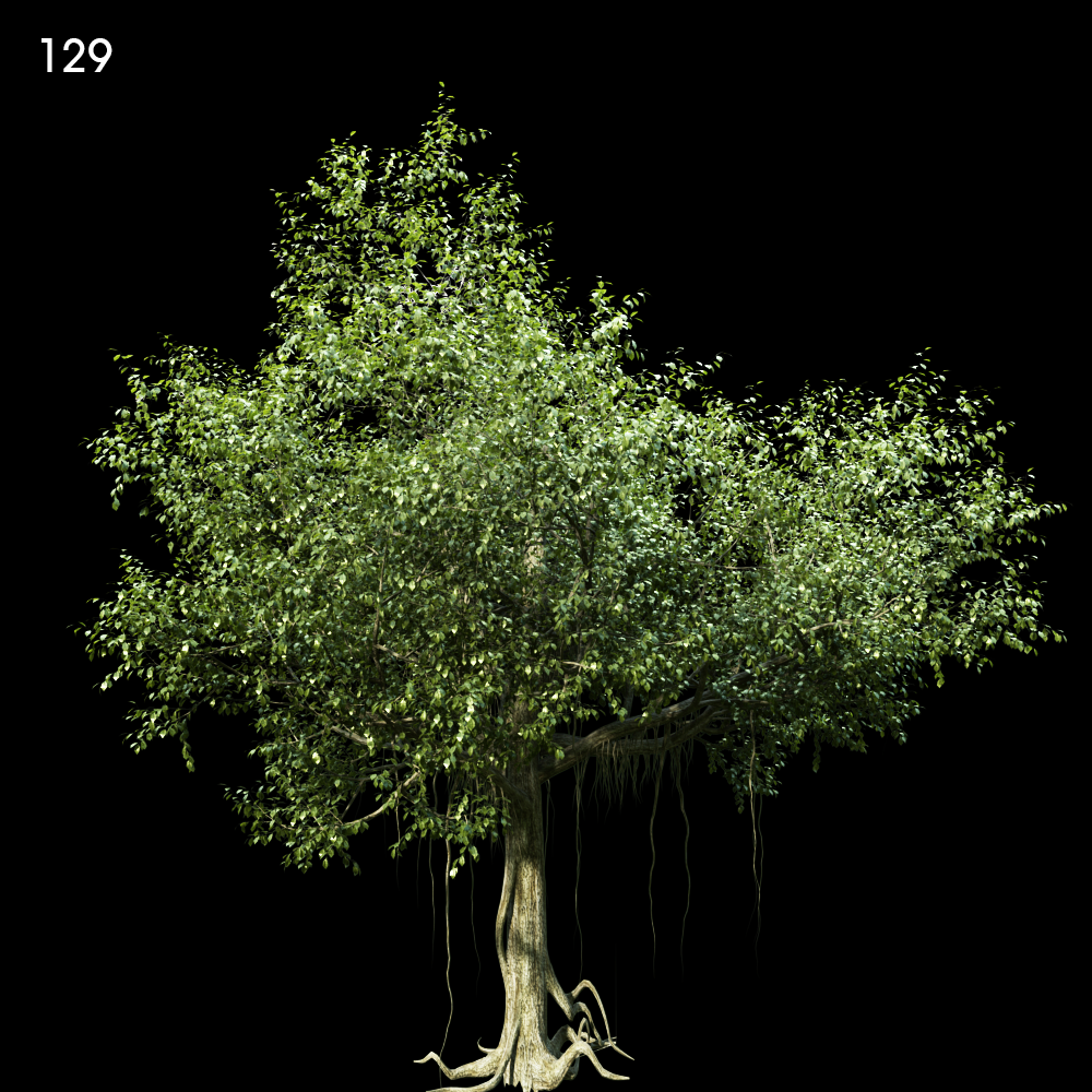 Realistic Tree Proxy Model for SketchUp with V-Ray