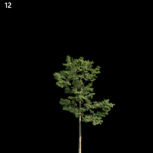 asset-3d-thumbnail