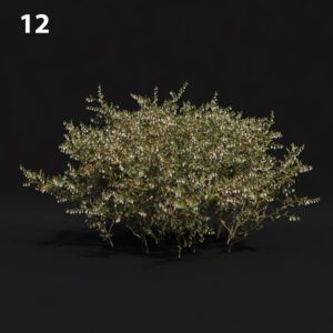 Realistic Floral Proxy Model for SketchUp with V-Ray