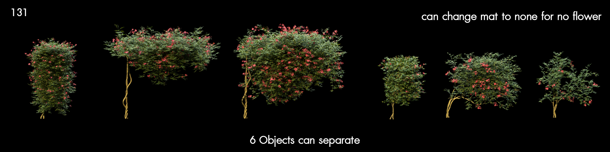 Chinese Trumpet Tree Proxy Model