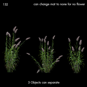 Arundo Donax Proxy Model