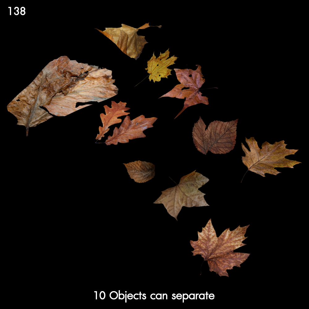 Realistic Dry Leaves