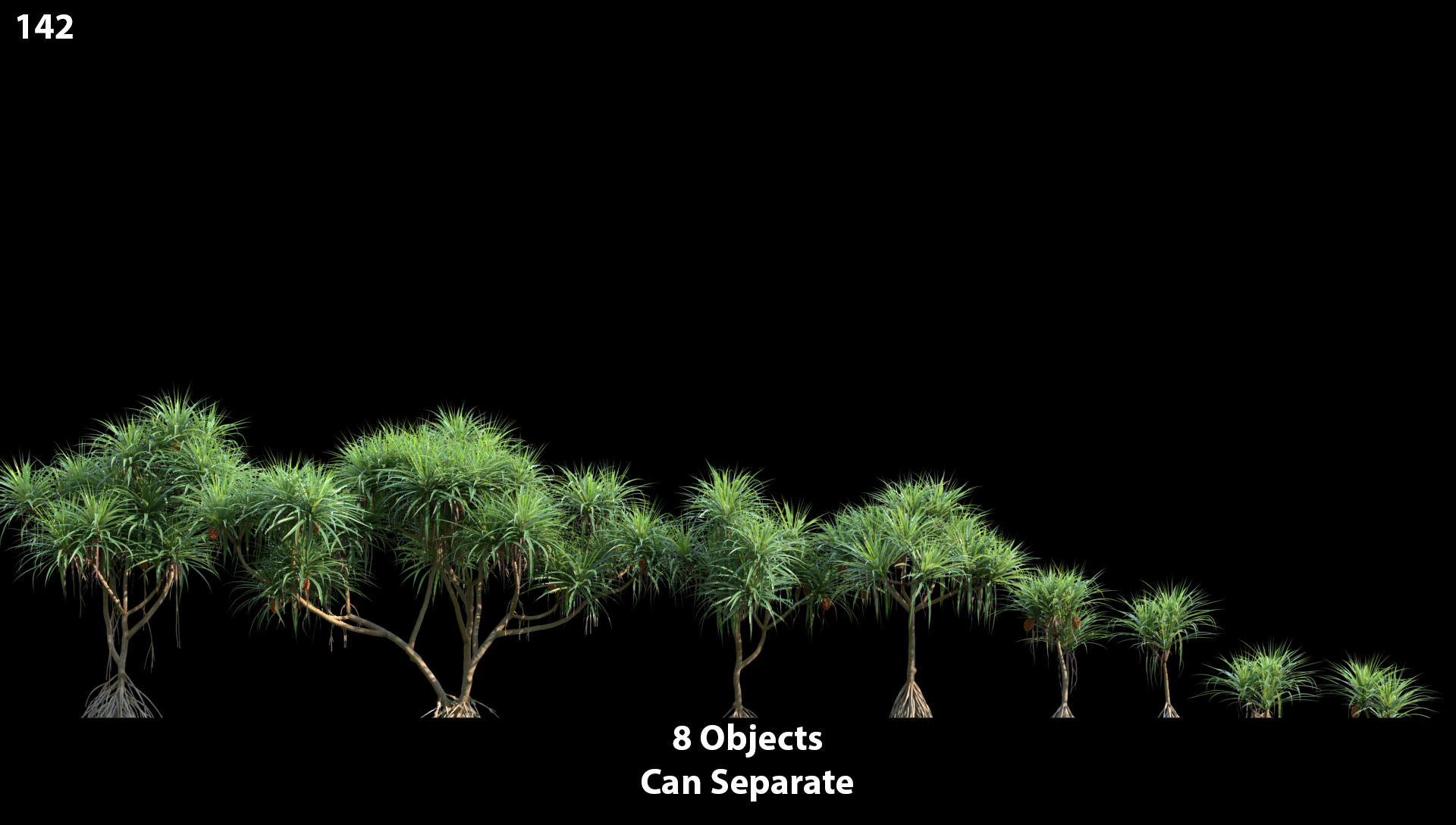 Pandanus Tectorius Proxy Model