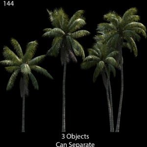 Cocos Nucifera Palm Tree Proxy Model