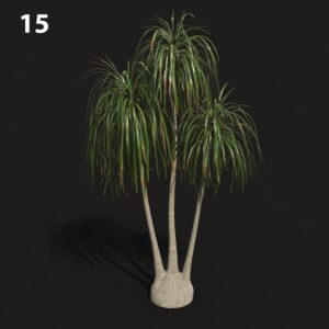 Beaucar Proxy Model for SketchUp with V-Ray