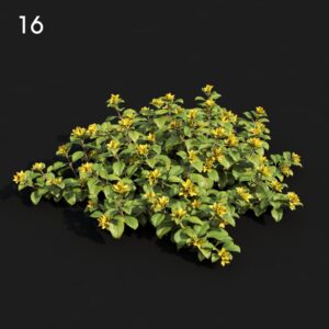 Lysima01 Proxy Model for SketchUp with V-Ray