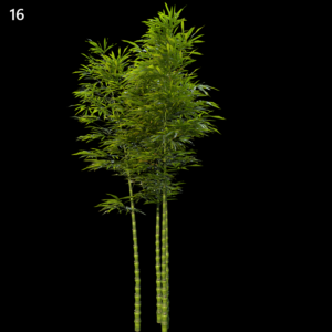Green Bamboo Proxy Model for SketchUp with V-Ray