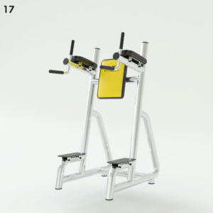 CGAxis Fitness Model