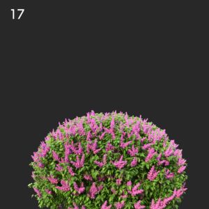asset-3d-thumbnail