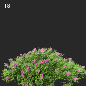 asset-3d-thumbnail