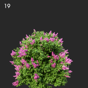 asset-3d-thumbnail
