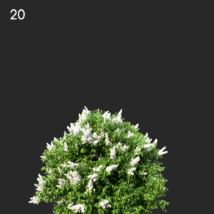 asset-3d-thumbnail