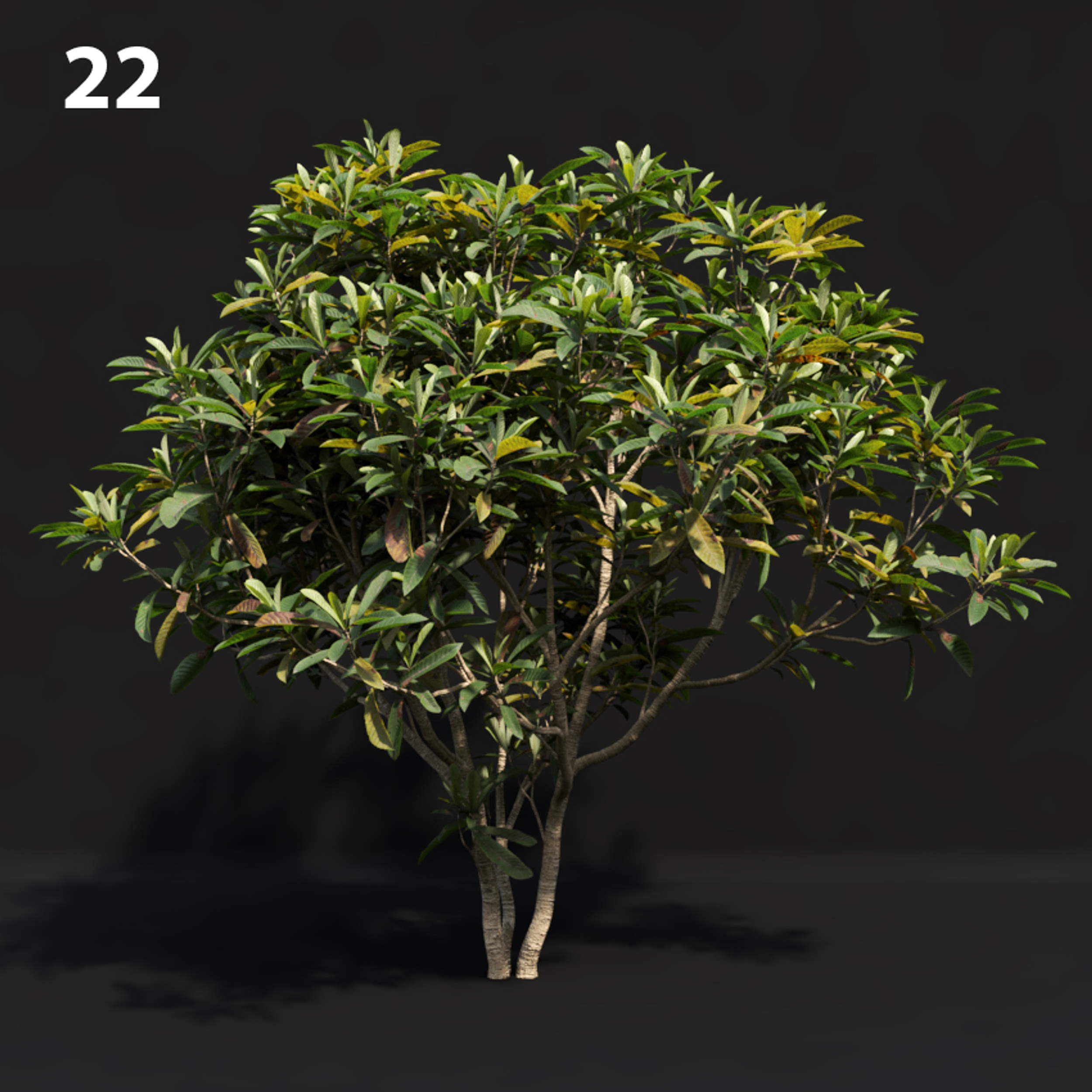 Japanese Tree Proxy Model for SketchUp with V-Ray