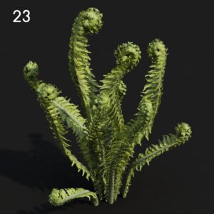 Matteu Fern Proxy Model