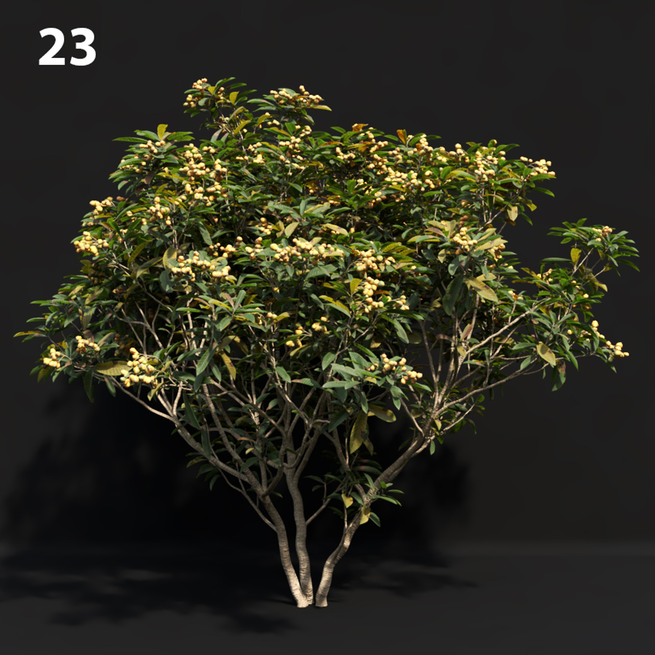 Realistic Japanese Proxy Model for SketchUp with V-Ray