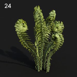 Matteu03 Proxy Model