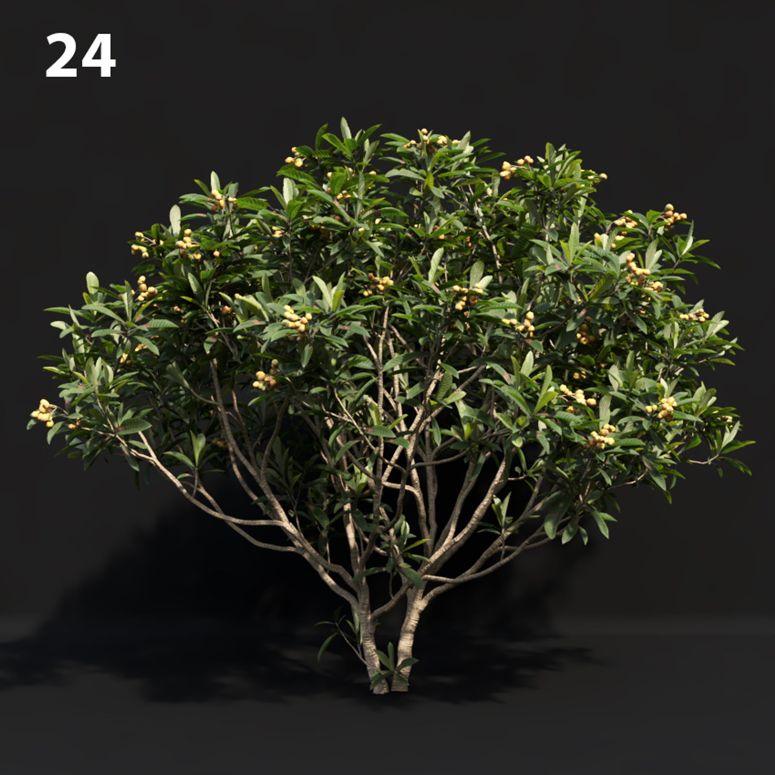 Japanese Tree Proxy Model for SketchUp with V-Ray