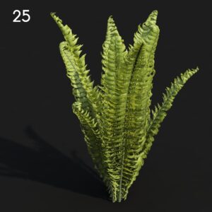 Matteu04 Proxy Model