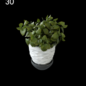 Mini Plant Proxy Model