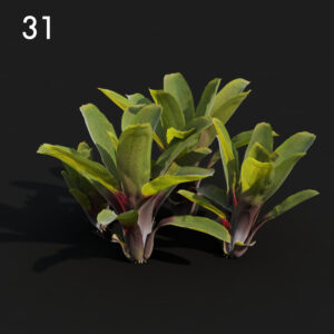 Neore Plant Proxy Model