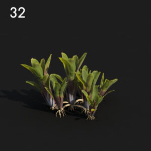 Neore Proxy Model for SketchUp with V-Ray