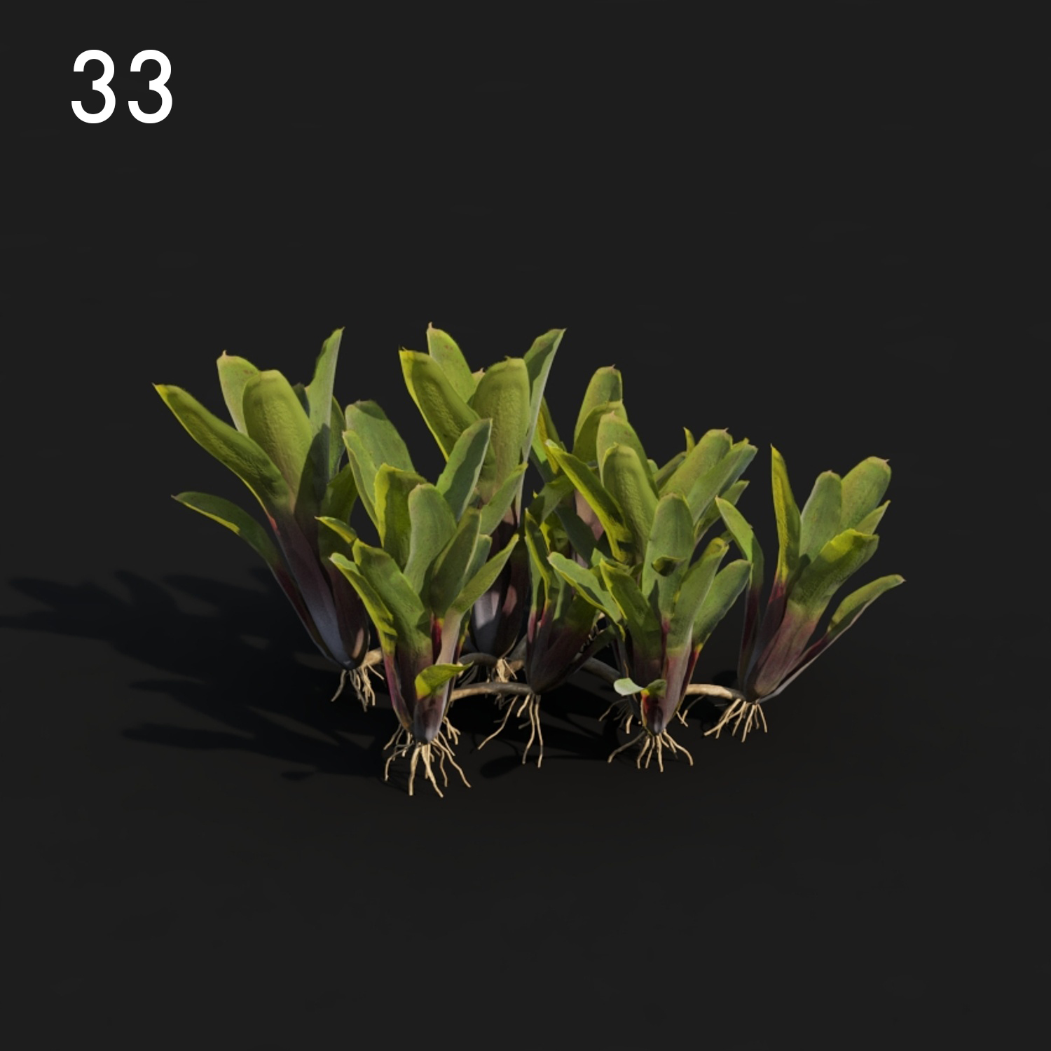 Neore Plant Proxy Model for SketchUp and V-Ray