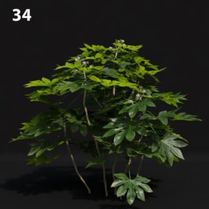 Realistic Fat Japanese Plant Proxy Model for SketchUp