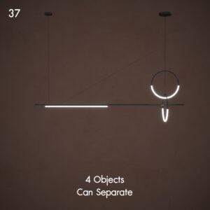 Luxury Ceiling Light