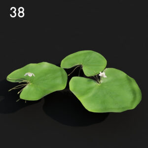 Water Lily Proxy Model for SketchUp with V-Ray